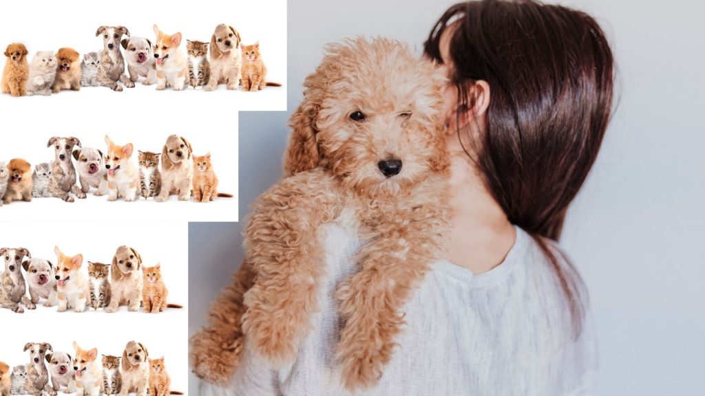 Puppygirlxd: Embracing the Playful World of Puppy Play Subculture